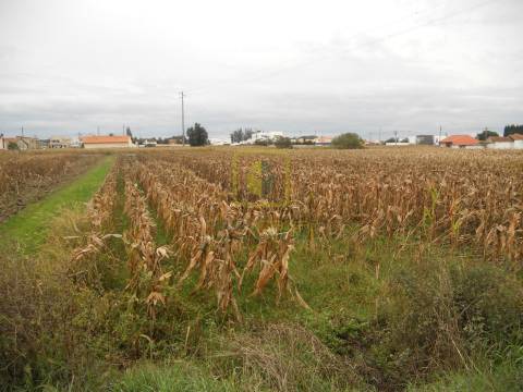 Terreno  Venda em Aradas,Aveiro