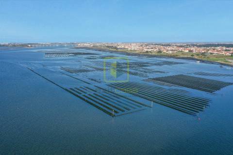 Terreno Para Construção  Venda em Santa Joana,Aveiro
