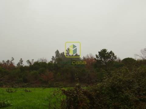 Terreno Rústico  Venda em Santa Joana,Aveiro