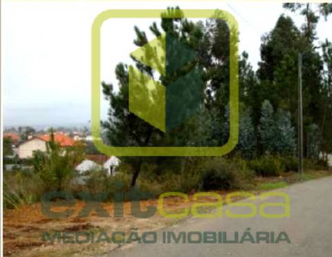 Terreno Rústico  Venda em Recardães e Espinhel,Águeda