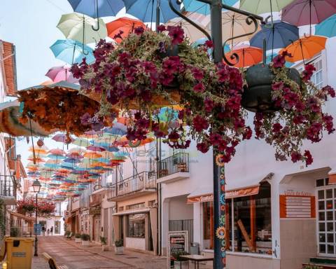 Terreno Rústico  Venda em Recardães e Espinhel,Águeda