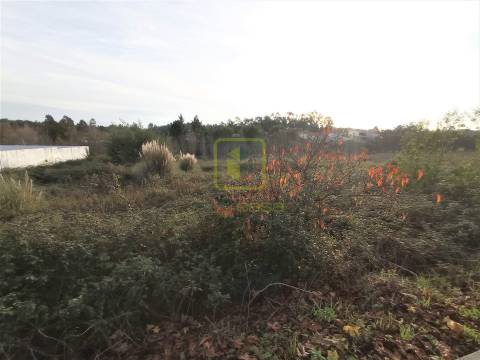 Terreno Para Construção  Venda em Valongo do Vouga,Águeda