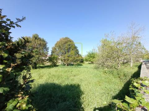 Terreno Para Construção  Venda em Ílhavo (São Salvador),Ílhavo