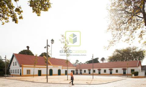 Apartamento T3 Duplex