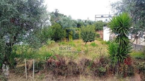 Terreno para Construção