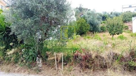 Terreno para Construção