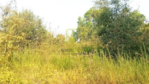 Terreno para Construção