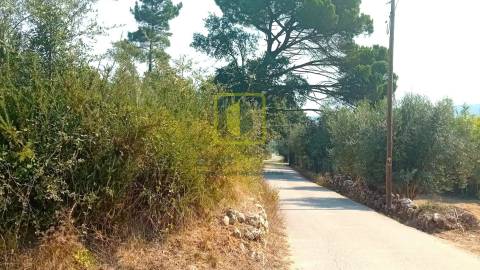 Terreno para Construção