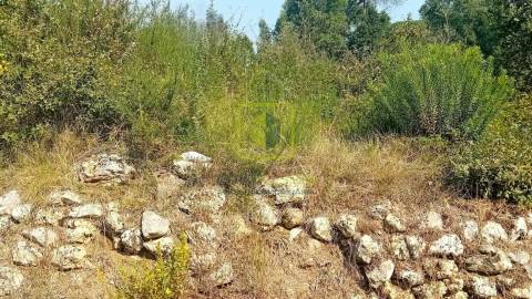 Terreno para Construção