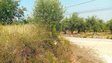 Terreno para Construção