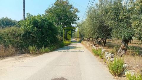 Terreno para Construção