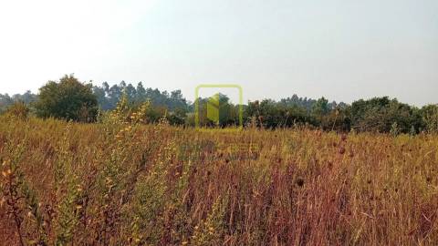 Terreno para Construção