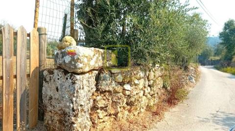 Terreno para Construção