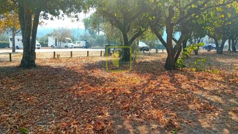 Terreno para Construção