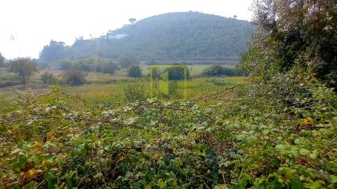 Terreno Rústico  Venda em Condeixa-a-Velha e Condeixa-a-Nova,Condeixa-a-Nova