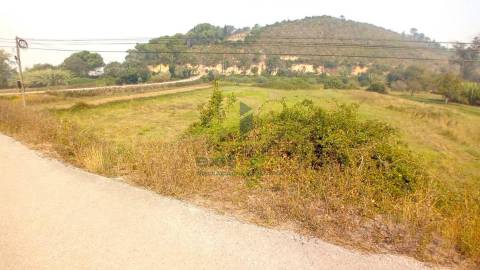 Terreno Rústico  Venda em Condeixa-a-Velha e Condeixa-a-Nova,Condeixa-a-Nova