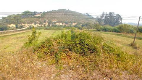 Terreno Rústico  Venda em Condeixa-a-Velha e Condeixa-a-Nova,Condeixa-a-Nova