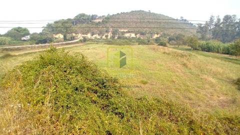 Terreno Rústico  Venda em Condeixa-a-Velha e Condeixa-a-Nova,Condeixa-a-Nova