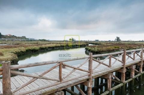 Terreno com 1658m² em Cacia