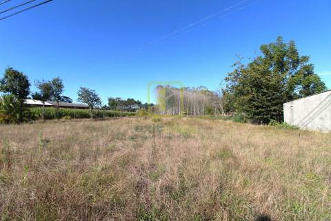 Terreno para Venda em Sosa