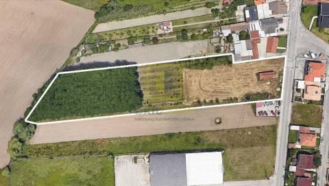 Terreno para Venda em Sosa