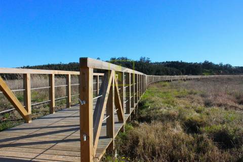 Terreno para Venda em Sosa