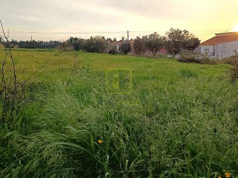 Moradia T2 com terreno em Montemor-o-Velho!