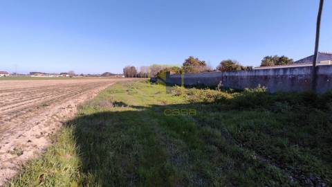 Terreno para Construção