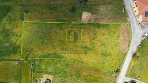 Terreno em Montemor-o-Velho