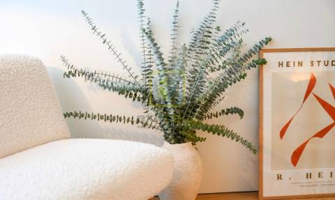 Apartamento T4 no Centro de Aveiro