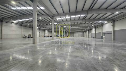 Armazém Novo em Vagos