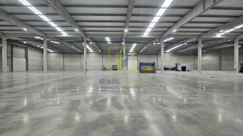 Armazém Novo em Vagos