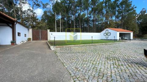 Quinta T7 Venda em Válega,Ovar