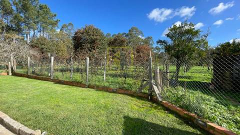 Terreno  Venda em Válega,Ovar