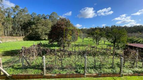 Terreno  Venda em Válega,Ovar