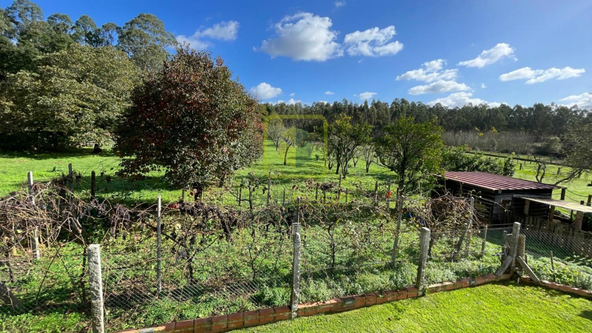Terreno  Venda em Válega,Ovar