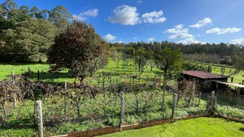 Terreno  Venda em Válega,Ovar