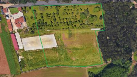 Terreno  Venda em Válega,Ovar