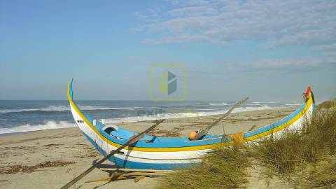 Terreno  Venda em Válega,Ovar