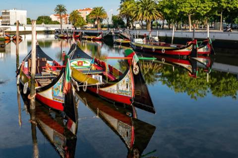 Apartamento T3 a 2 Minutos do Centro de Aveiro