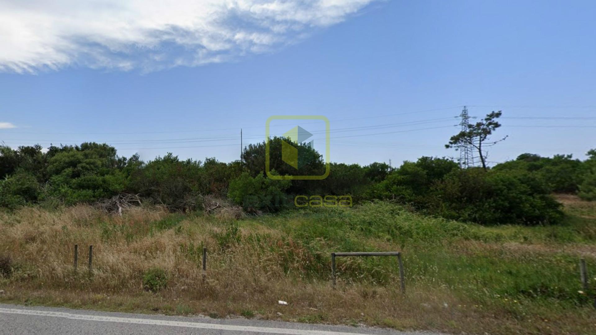 Terreno  Venda em São Pedro,Figueira da Foz