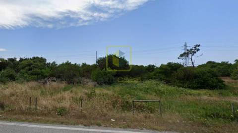 Terreno  Venda em São Pedro,Figueira da Foz