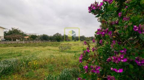 Terreno na Granja do Ulmeiro
