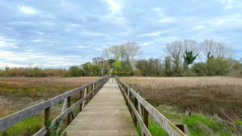 Terreno para Construção em Ílhavo