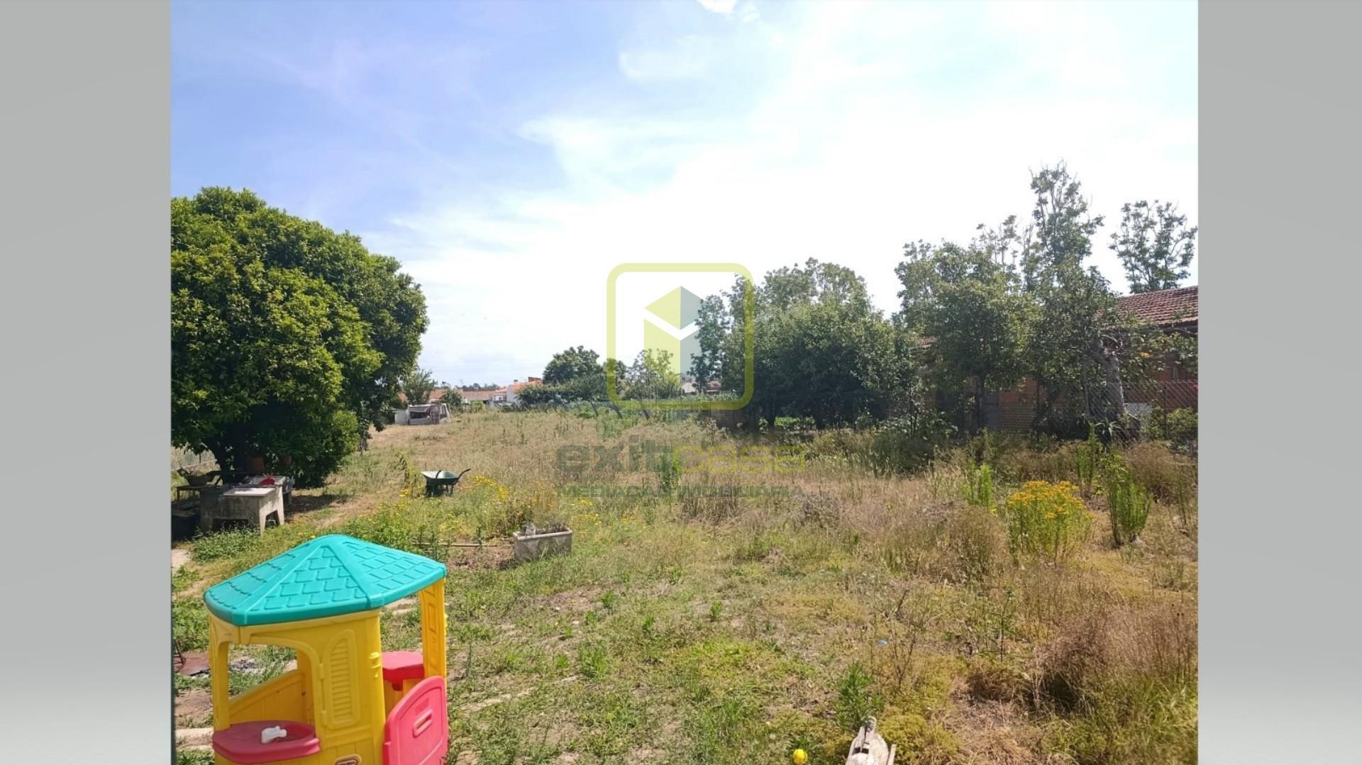 Terreno para Construção em Eixo