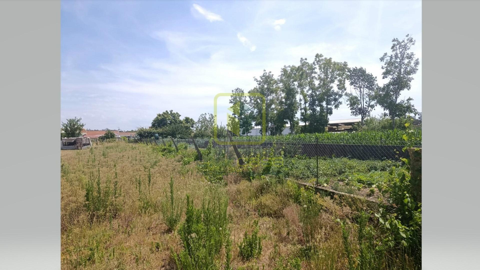 Terreno para Construção em Eixo