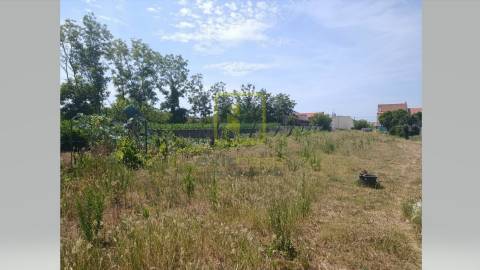 Terreno para Construção em Eixo
