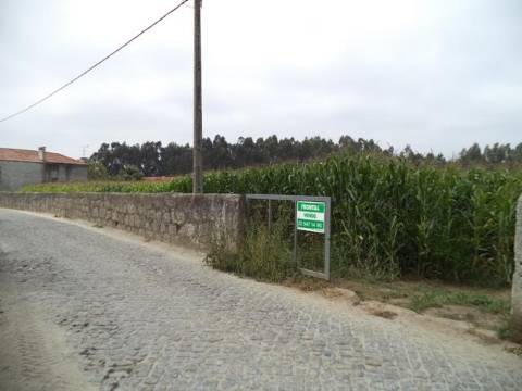 Terreno com viabilidade de construção | Gião, Vila Do Conde