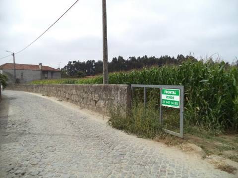 Terreno com viabilidade de construção | Gião, Vila Do Conde