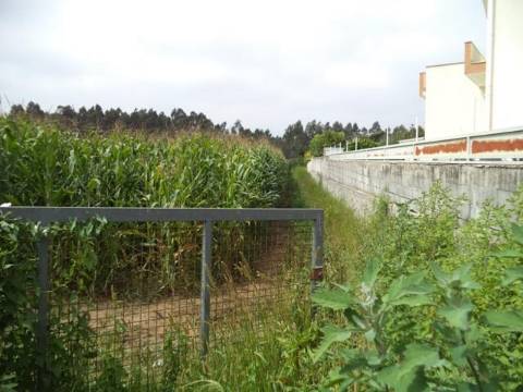 Terreno com viabilidade de construção | Gião, Vila Do Conde